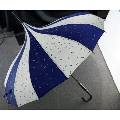 Umbrella 2 / 長傘2  Umbrella 2 / 長傘2