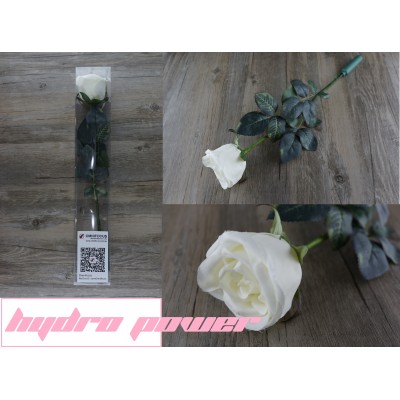 Hydro power flower flashligh / 水能發電電玫瑰花 Hydro power flower flashligh / 水能發電電玫瑰花